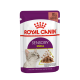 Royal Canin Sensory Smell – Hrană Umedă pentru Pisici Adulte în Sos – 85 g